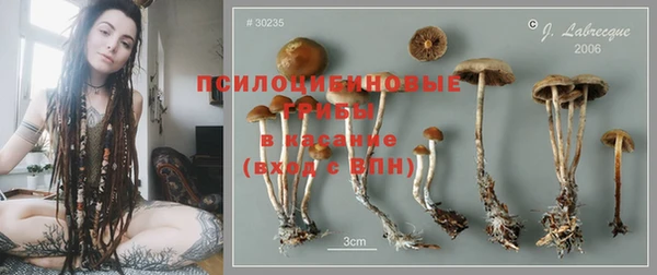ГАЛЛЮЦИНОГЕННЫЕ ГРИБЫ Лихославль