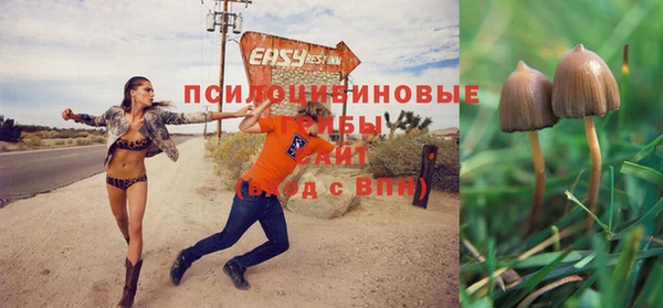 прущие крисы Алагир