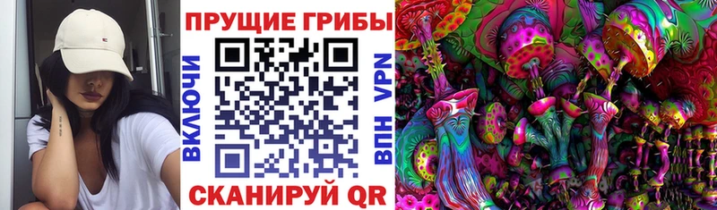 Псилоцибиновые грибы Psilocybine cubensis  где найти   сайты даркнета какой сайт  Южа 
